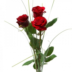 buchet-3-trandafiri-rosii-pjci9akxvk
